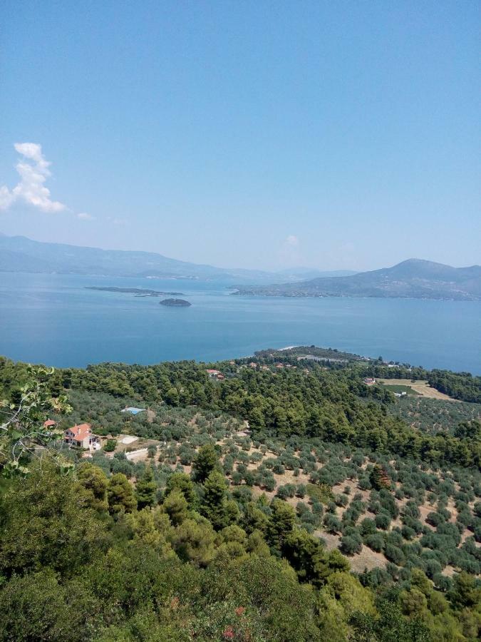 Anastasia - Efthimios Apartments Agios Konstantinos  Exterior foto